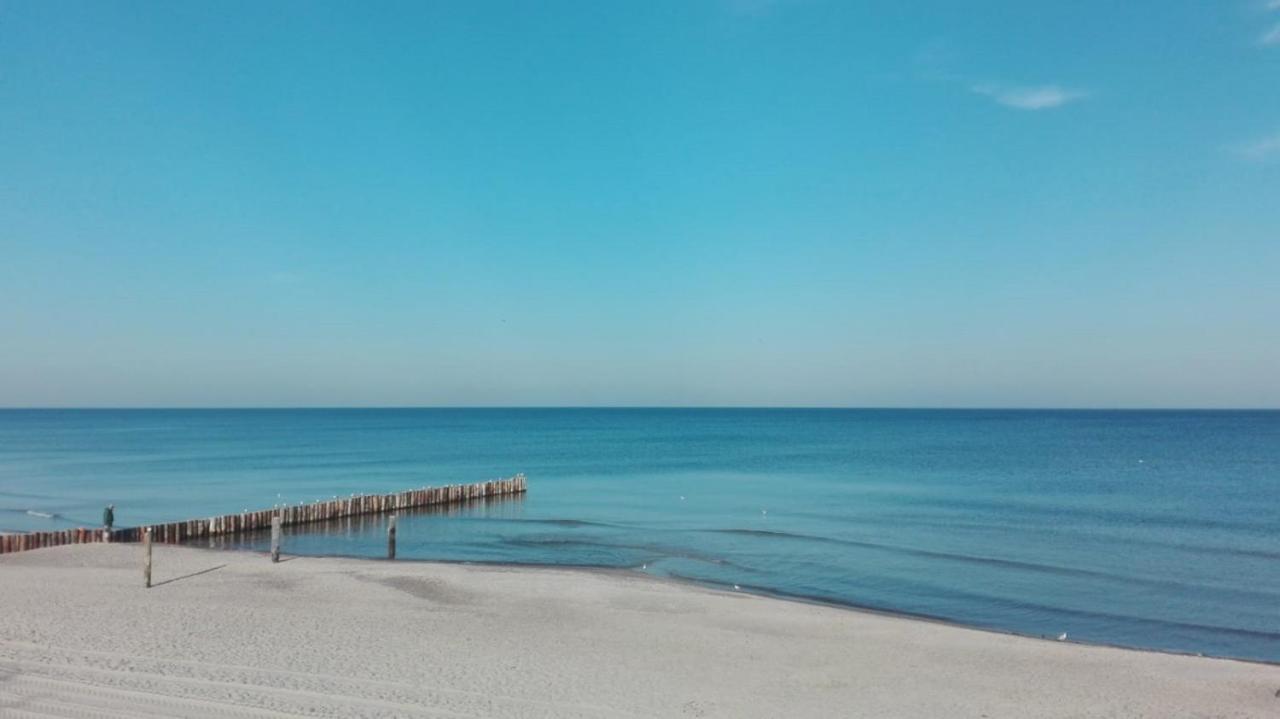 دجيفنوفيك Avila Park & Spa المظهر الخارجي الصورة